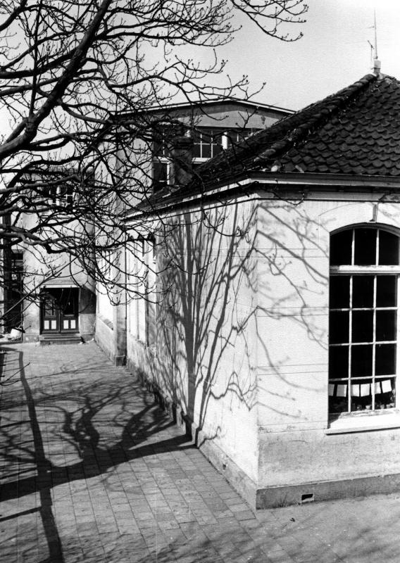 Foto 2003174456